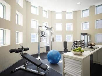 Novotel Sydney Central - Lightning Ridge Tourism 44