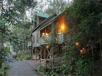 Barrington Wilderness Cedar Lodge Accommodation - Lightning Ridge Tourism 3