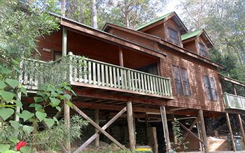 Barrington Wilderness Cedar Lodge Accommodation - Lightning Ridge Tourism 12