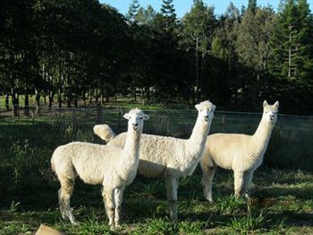 Beerwah QLD Lightning Ridge Tourism