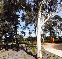 Box Hill Studios at Canterbury Gardens - Lightning Ridge Tourism