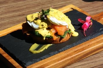 Remington Motor Inn - Lightning Ridge Tourism 11