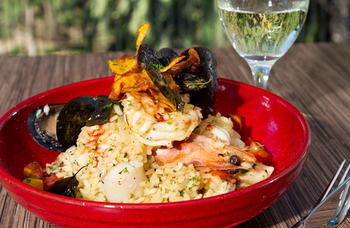 Remington Motor Inn - Lightning Ridge Tourism 25