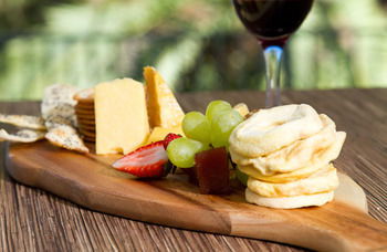 Remington Motor Inn - Lightning Ridge Tourism 28