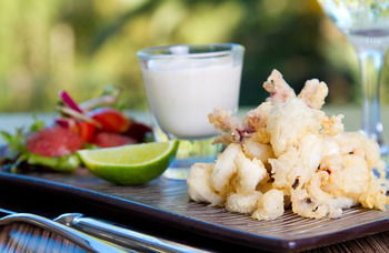 Remington Motor Inn - Lightning Ridge Tourism 31