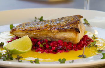 Remington Motor Inn - Lightning Ridge Tourism 33