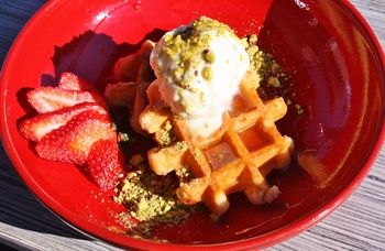 Remington Motor Inn - Lightning Ridge Tourism 54