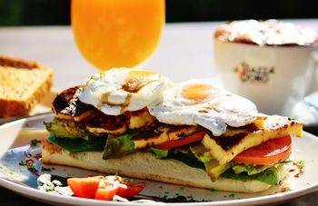 Remington Motor Inn - Lightning Ridge Tourism 59