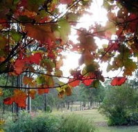 Elfin Hill Country Accommodation - Lightning Ridge Tourism