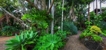 Maleny Tropical Retreat Balinese B&b - Lightning Ridge Tourism 11