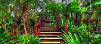 Maleny Tropical Retreat Balinese B&b - Lightning Ridge Tourism 14