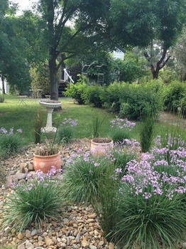 Yarraglen BnB - Lightning Ridge Tourism 19