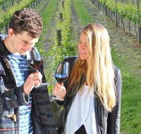 Valley Farm Vineyard Cottages - Lightning Ridge Tourism