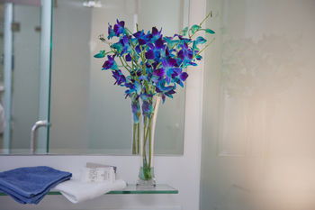 Grand Hotel Wyong - Lightning Ridge Tourism 0