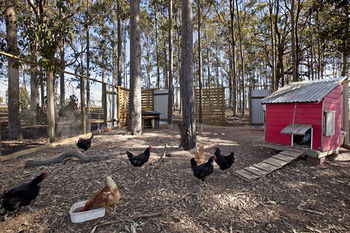 Block Eight - Lightning Ridge Tourism 10