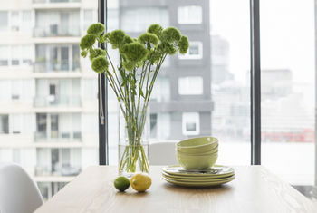 Apartment2c - Metro - Lightning Ridge Tourism 5