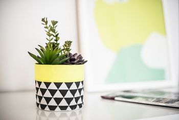 Apartment2c - Metro - Lightning Ridge Tourism 12