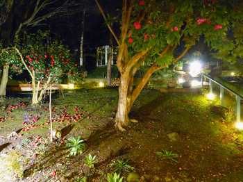 Aquila Nova Retreat - Lightning Ridge Tourism 43