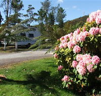 Zeehan Bush Camp  and Caravan Park - Lightning Ridge Tourism