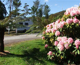 Zeehan Bush Camp  And Caravan Park - Lightning Ridge Tourism 0