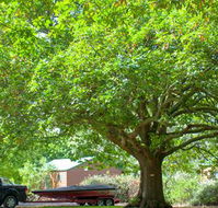 Lakes and Craters Holiday Park - Lightning Ridge Tourism