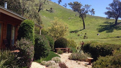 Strath Valley View Bed And Breakfast - Lightning Ridge Tourism 5