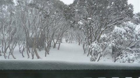 Leeton Lodge - Lightning Ridge Tourism 6