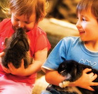 Macka's Farm - Lightning Ridge Tourism