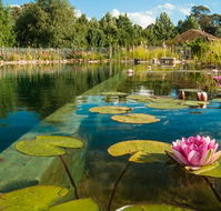 Planetrees Estate  - Lightning Ridge Tourism