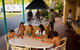 BIG4 Tathra Beach Holiday Park - thumb 3