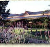 Bluebush Estate - Lightning Ridge Tourism