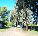 Cudal Caravan Park - Lightning Ridge Tourism