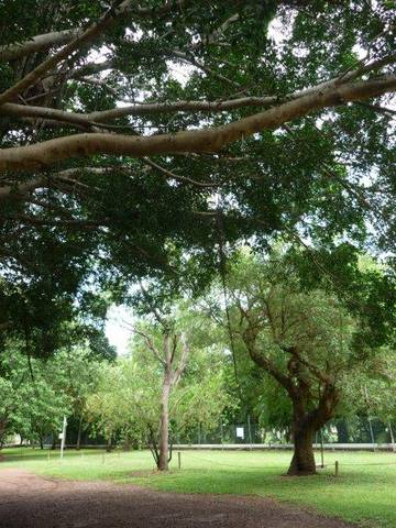 Discovery Holiday Parks - Darwin - Lightning Ridge Tourism 10