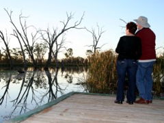 Kingston-On-Murray Caravan Park - Lightning Ridge Tourism 2