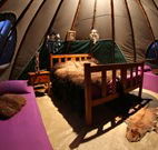 Aranyani Bison Adventure Tourist Park - Lightning Ridge Tourism