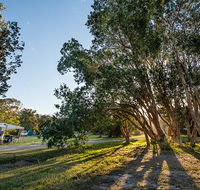 Delicate campground - Lightning Ridge Tourism