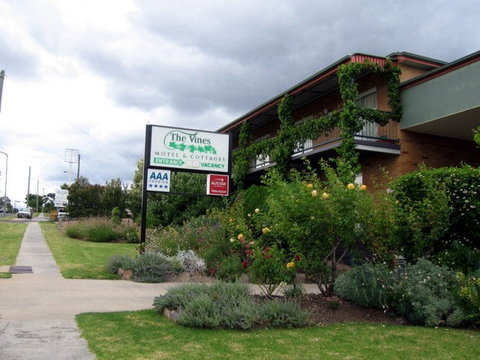 The Vines Motel & Cottages - Lightning Ridge Tourism 0