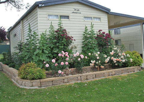 Walcha Caravan Park - Lightning Ridge Tourism 3