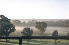 Settlers Rest Farmstay Swan Valley - Lightning Ridge Tourism 3