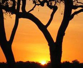 Coodardie Station Stay - Lightning Ridge Tourism 2