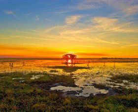 Wildman Wilderness Lodge - Lightning Ridge Tourism 2