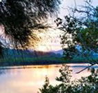 Tweed Coast Holiday Parks Hastings Point - Lightning Ridge Tourism