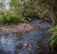 Horse Swamp campground - Lightning Ridge Tourism