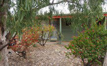 Lightning Ridge Outback Resort And Caravan Park - Lightning Ridge Tourism 3