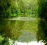 Mangrove Yoga Ashram - Lightning Ridge Tourism
