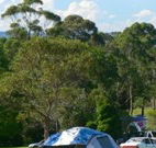 Milton Valley Holiday Park - Lightning Ridge Tourism