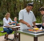 Port Stephens Treescape - Lightning Ridge Tourism
