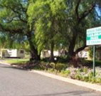 Spicer Park Caravan Park - Lightning Ridge Tourism