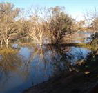 Warrawong on the Darling - Lightning Ridge Tourism