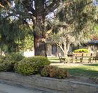 Hamilton Hume Motor Inn - Yass - Lightning Ridge Tourism